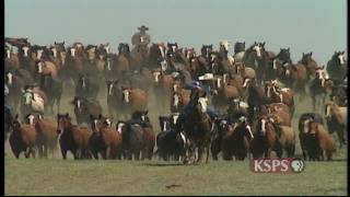 Northwest Profiles Born to Buck Calgary Stampede [upl. by Delcine677]