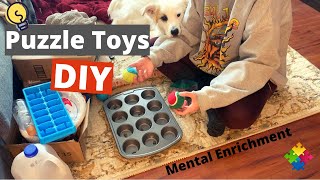 Brain Games for Dogs  DIY Puzzle Toys [upl. by Aldwon]