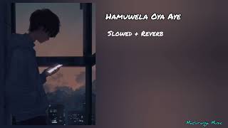 Hamuwela Oya Aye Slowed  Reverb Song [upl. by Anyrtak290]