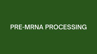 PremRNA Processing [upl. by Gerard]