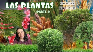 Las Plantas Parte 1  Estructura y clasificación 1º ESO [upl. by Hentrich]