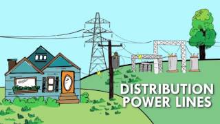 The Electric Grid Connects Us All [upl. by Zoha]