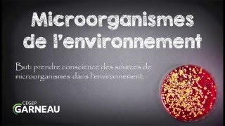 Microorganismes de lenvironnement [upl. by Silberman]