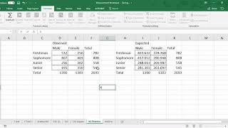 Excel Chi Square Test [upl. by Volny]