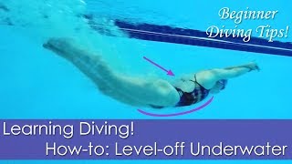 Beginner Learning Diving Howto Leveloff Underwater [upl. by Alyehs]