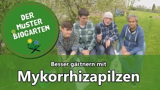 Wie Mykorrhiza Pilze im Garten Ihre Ernte verbessern können [upl. by Hebert]