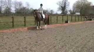 How to Ride an Elementary Dressage Test  HorseandRider UK [upl. by Schiff681]