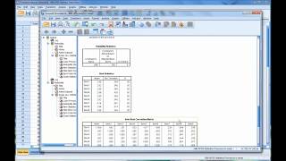 Calculating and Interpreting Cronbachs Alpha Using SPSS [upl. by Diandre545]