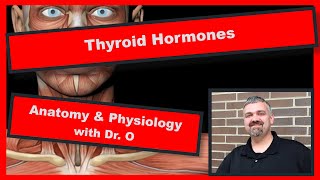 Thyroid Hormones Anatomy and Physiology [upl. by Yretsym]