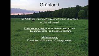 Grünland Teil 1 [upl. by Defant]