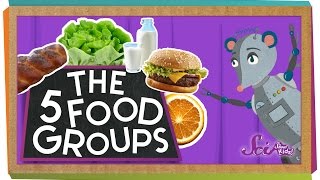 The 5 Fabulous Food Groups [upl. by Lanevuj628]