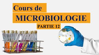 Cours de microbiologie partie 12 les plasmides  conjugaison bactérienne  spores [upl. by Damalus]