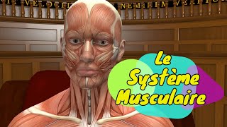 LE SYNDROME DU MUSCLE PIRIFORME Diagnostic et Traitement [upl. by Dorotea]