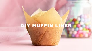 How to Make Cupcake Liners [upl. by Ayoted]