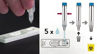 Rapid antigen screening [upl. by Noval]