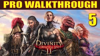 Divinity Original Sin 2 Definitive Edition  Tactician Difficulty  Walkthrough Longplay  Part 1 [upl. by Rihaz90]