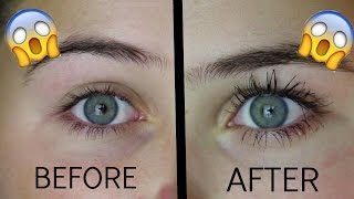 How To Grow Your Eyelashes In 1 Day [upl. by Chrissie532]