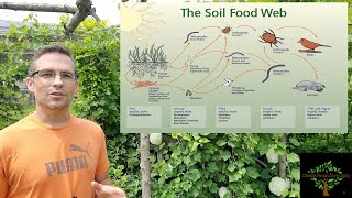 A complete guide to soil microbiology [upl. by Aba]