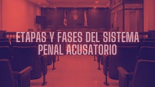 ETAPAS Y FASES DEL SISTEMA PENAL ACUSATORIO [upl. by Corri518]