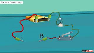 Science  Metal and NonMetals  Electrical Conductivity [upl. by Thay417]