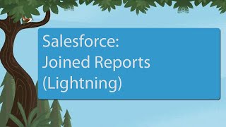 Salesforce Joined Reports Lightning [upl. by Rehoptsirhc]