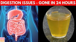 10 Ways to Improve Digestive System  Get INSTANT Boost Naturally [upl. by Aden]