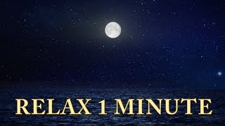 Relax 1 min  Sunset Ocean Moon  Relaxing Music [upl. by Ihcelek]