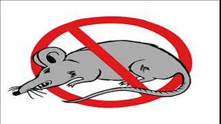 Sonido 🐀 AHUYENTA RATAS Y RATONES 🐀 FUNCIONA 9HS 🐀 no mas ratas [upl. by Nawek202]