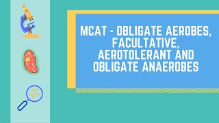 Obligate Aerobes Obligate Anaerobes Facultative Anaerobes and Aerotolerant Anaerobes [upl. by Polik630]