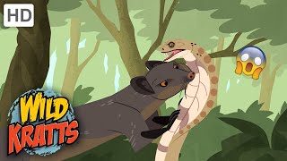 Wild Kratts  Cobra VENOMWildlife [upl. by Auahsoj393]