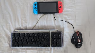 How to use a USB keyboard for your Nintendo Switch super EASY [upl. by Teeter]