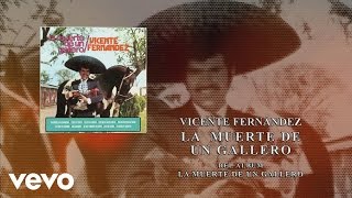 Vicente Fernández  La Muerte de un Gallero Cover Audio [upl. by Ennalyrehc]