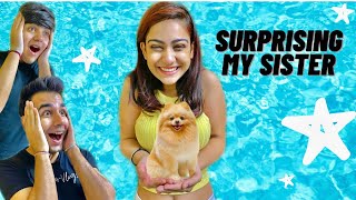 SURPRISING MY SISTER WITH A NEW DOG  Rimorav Vlogs [upl. by Atalaya205]