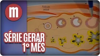 Série Gerar 1 O primeiro mês de gravidez  Mulheres [upl. by Sirrah644]