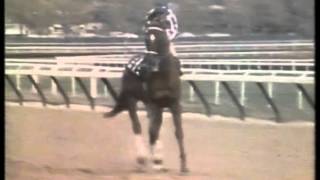 Bob Costas Features Secretariat Horse Racings Biggest Hero  imasportsphile [upl. by Sadick490]