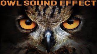 Owl Sounds  Owls Call Sound Effect At Night [upl. by Uolymme937]