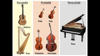 Los instrumentos de cuerda [upl. by Hildegard]