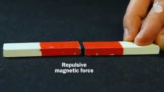 Video Lab Magnetic forces [upl. by Lliw271]