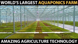 Worlds Largest Aquaponics Farm  High tech Aquaponics  Amazing Agriculture Technology [upl. by Moretta]