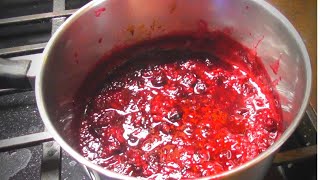 MIXED BERRY COMPOTE sauce RECIPE [upl. by Yot]