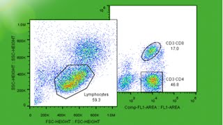 Advanced Topics in Cell Sorting [upl. by Brazee]