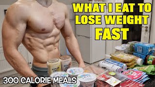 FullDay of Eating 300 Calorie Meals  What I Eat To Lose Weight Fast [upl. by Hulbard]