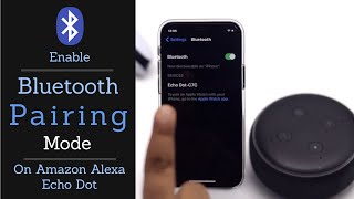 How to Put Amazon Echo Dot in Pairing Mode [upl. by Einram]