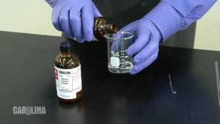 Nylon Synthesis Chemistry Demo [upl. by Fisken437]