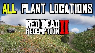 Red Dead Redemption 2  ALL 43 PLANTS amp HERBS LOCATIONS [upl. by Nivart342]