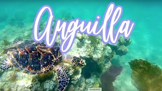 Anguilla Snorkeling and Beaches [upl. by Adena]