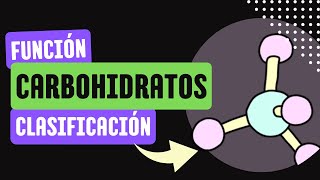 Carbohidratos FUNCIÓN y CLASIFICACIÓN 🔬 [upl. by Droffig905]