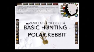 Polar Kebbit OSRS Beginner Hunting Guide [upl. by Wendye]