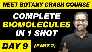 BIOMOLECULES in 1 Shot Part 2  All Theory Tricks amp PYQs Covered  Class 11  NEET [upl. by Horace]