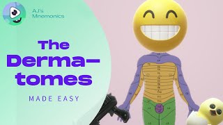 How to Easily Memorize the Dermatomes [upl. by Frasier]